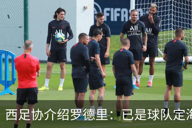 西足协介绍罗德里：已是球队定海神针，带领年轻球员向世界杯冲击